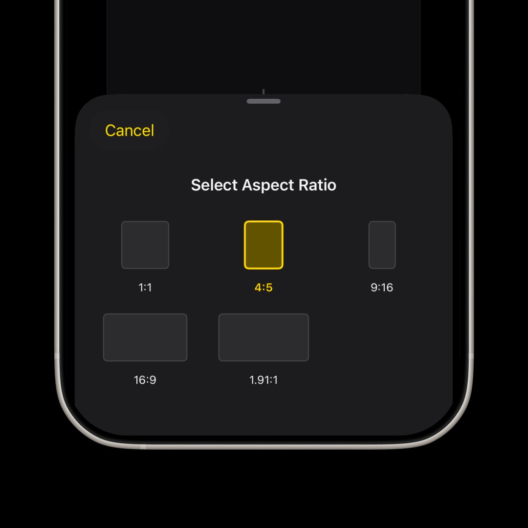 Instagram carousel format presets — square 1:1 and portrait 4:5 in SnapLayout